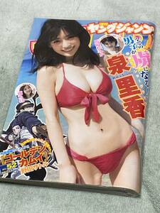 週刊ヤングジャンプ　2016 52号　泉里香　美品！