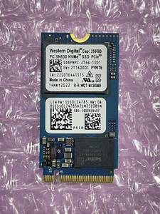 Western Digital PC SN530 M.2 256GB NVMe M.2 2242 SSD 使用時間4時間.
