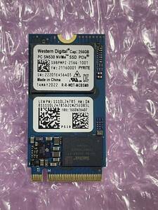Western Digital PC SN530 M.2 256GB NVMe M.2 2242 SSD 使用時間2時間.