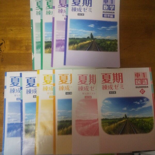 2年夏期 練成ゼミ 標準編まとめ売り