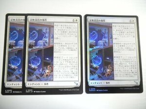 F289【MTG】証拠流出の事件　Foil×1 非Foil×2 3枚セット カルロフ邸殺人事件