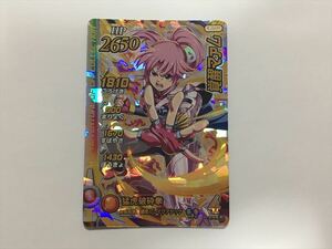 A80【ダイの大冒険 クロスブレイド カード】 エクスブレイク３弾　X3-039 覚醒マァム DR ドラゴンレア 即決