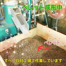 ★国内自社工場製造★　スギ材ホワイトペレット　20kg　猫砂　猫砂ペレット　猫　ネコ　ペレットストーブ アウトドア　キャンプ_画像2