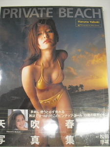 ■未開封写真集■　矢吹春奈　PRIVATE BEACH　9784821126088