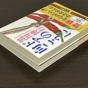 黒川博行 ドアの向こうに 雨に殺せば 2冊セット 角川文庫の画像3