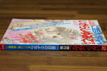 雑誌　LOVING増刊 1988年11月号 LOVINGスペシャル　「二度目のさよなら」　いがらしゆみこ傑作集 　いがらしゆみこ　井沢満　E719_画像2