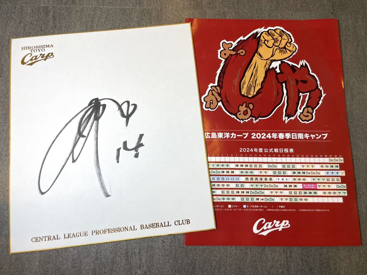 広島カープ 期待の4選手直筆サイン色紙 - 野球