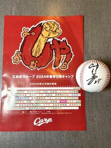 2024年日南キャンプ　広島カープ　#25新井貴浩監督直筆サインボール