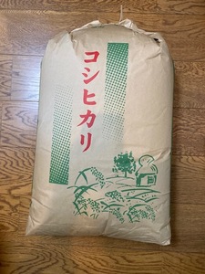 令和５年度産★京都産コシヒカリ　玄米 30ｋｇ　送料無料！　