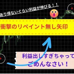 【衝撃のリペイントなし】限定 待望の最強インジケーター 億トレーダーの手法 天井と底をピンポイントで捉える！ 