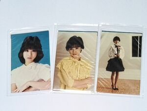 マルベル堂　松田聖子　プロマイド3枚　未開封品　C