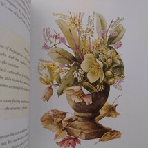 スケッチブックからの眺め: マジョリン・バスティンの目を通して見る自然　View from a Sketchbook: Nature Through Marjolein Bastin_画像4