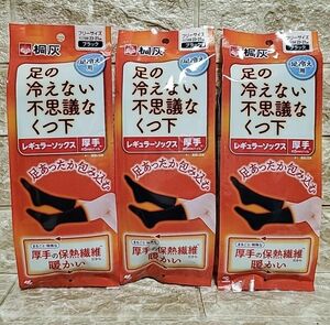 3足　足の冷えない不思議なくつ下 レギュラーソックス 厚手 桐灰