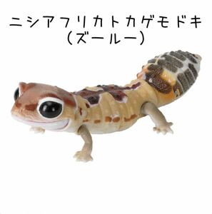 【未開封】ニシアフリカトカゲモドキ ガチャ （アルビノ）