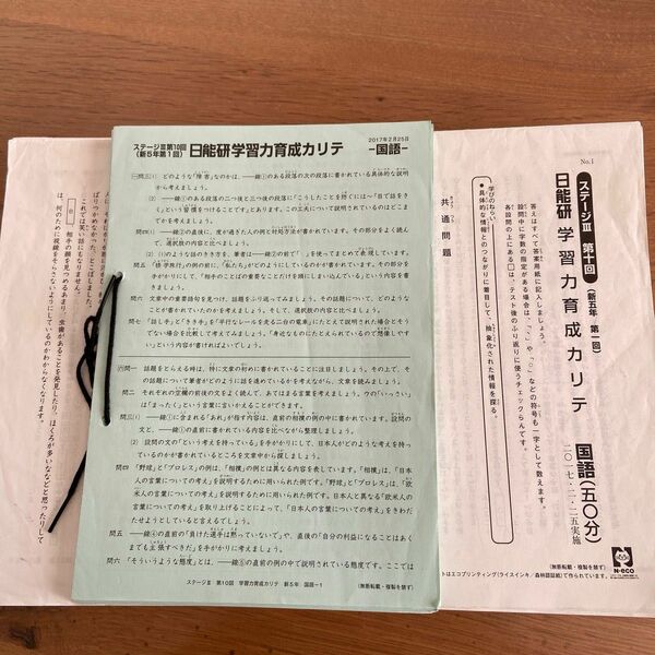 日能研5年生　2017年　学力育成テスト全て（1回〜19回）春期　夏期　冬期講習特別テスト