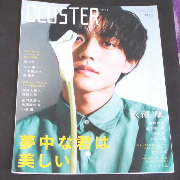 CLUSTER Vol.13 永瀬廉 (TJMOOK)