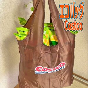 【週末限定SALE】コストコ　オリジナル　ポケットバッグ（エコバッグ）