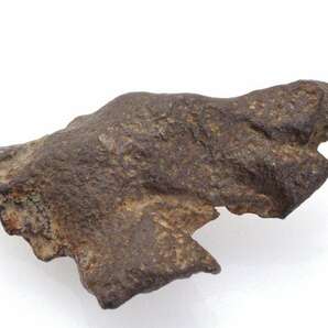 ゲベルカミル 47g スライス カット 標本 隕石 鉄隕石 ung GebelKamil No.21
