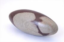 シバリンガ バナリンガ ナルマダリンガ 252g タンブル 原石 標本 インド Shiva Linga No.4_画像3