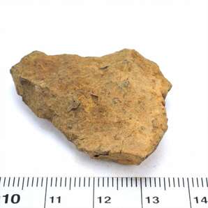 NWAxxx 17.5g 原石 標本 石質 隕石 普通コンドライト No.18の画像4