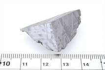 ムオニナルスタ ムオニオナルスタ 31g スライス カット 標本 隕石 オクタヘドライト No.192_画像3