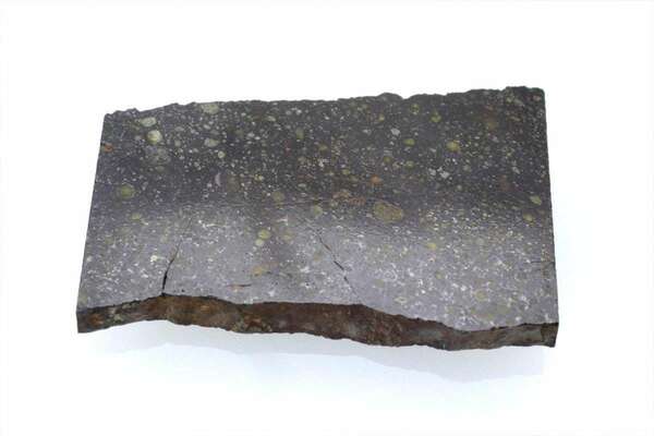NWA13758 8.1g 原石 スライス カット 標本 隕石 ルムルチコンドライト R3 No.4