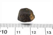 キャメルドンガ 1.6g 原石 標本 隕石 エイコンドライト ユークライト CamelDonga No.2_画像4
