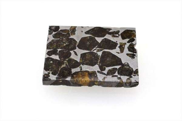 セイムチャン 6.0g スライス カット 標本 石鉄 隕石 パラサイト Seymchan No.7