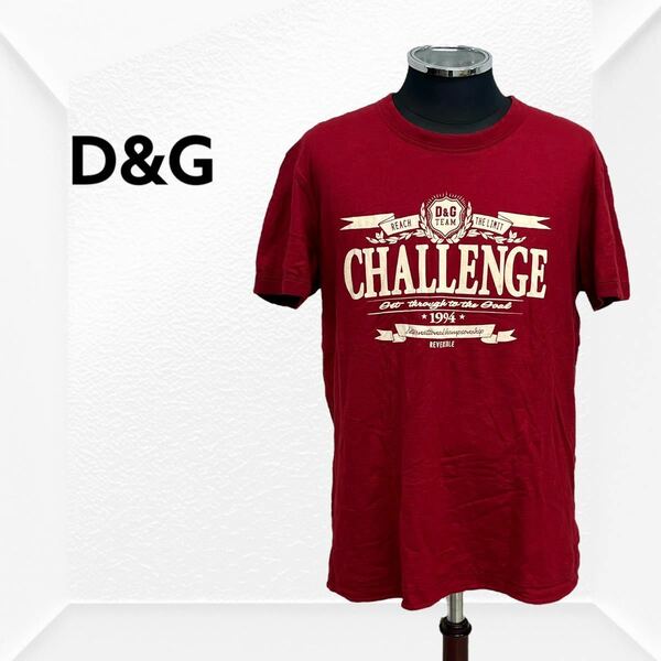 D&G ディーアンドジー ドルガバ ロゴプリント リバーシブル Tシャツ メンズ