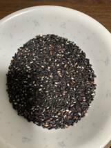 黒米　古代米　種籾　無農薬栽培　15g以上　約500粒_画像2