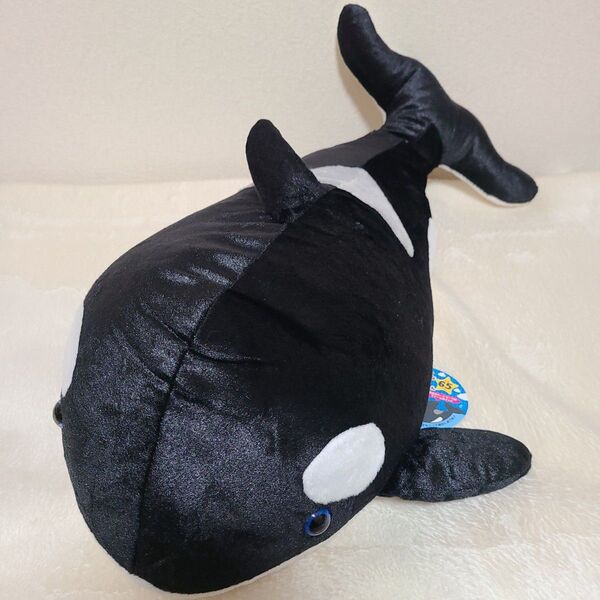 【新品タグ付き】BIGでCuteなシャチくん シャチ ぬいぐるみ