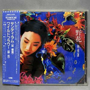 サンディ・ラム 林憶蓮 SANDY LAM / ワイルド・フラワー 野花 WILD FLOWER / 見本品 非売品 sample / promo CD 国内盤 / WWC5-495