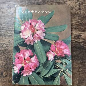 J-3099■シャクナゲとツツジ■東京山草会/監修■誠文堂新光社■（1972年）昭和47年7月20日 第5版