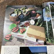 J-3246■旅 昭和57年11月号（1982年）■晩秋の上州・越後・佐渡/上越新幹線初乗り初くぐり/清水邦夫 越後流芸のルーツを探る■日本交通公社_画像8