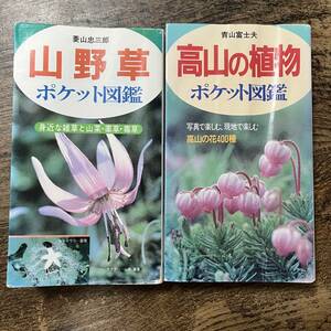 J-2519■高山の植物 ポケット図鑑/山野草 ポケット図鑑 2冊セット■青山富士夫 菱山忠三郎/著■主婦の友社■平成元年～平成2年発行