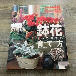 J-232■花名人になる!鉢花とっておきの育て方 (別冊NHK趣味の園芸)■小笠原誓/監修■NHK出版■2004年6月20日発行