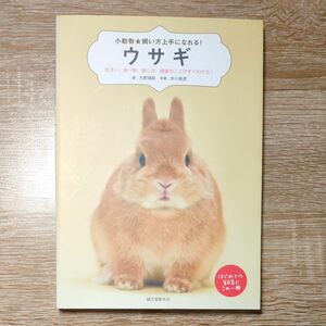 ウサギ住まい、食べ物、接し方、健康のことがすぐわかる！はじめての飼育にこの１冊 小動物飼い方上手になれる 大野瑞絵　井川俊彦／写真