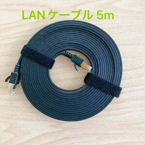 LANケーブル 5m 超高速インターネットケーブル ツメ折れ防止 ブラック