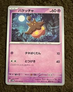 【美品】ポケモンカード バケッチャ C（sv4M 029/066）たね タネばくだん とつげき 未来の一閃 1枚（在庫３６枚）