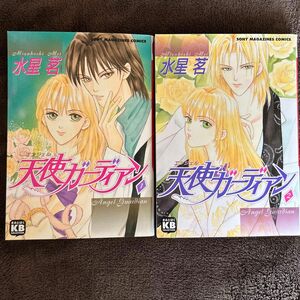 水星茗　天使ガーディアン全2巻