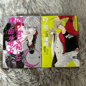 四ノ宮くんには理由（ワケ）がある12　小田切ほたる／著