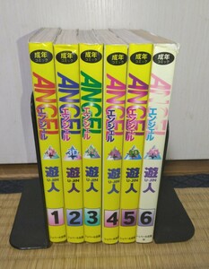 ANGEL　エンジェル　1巻～6巻　遊人　シュベール出版