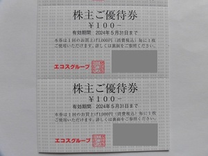 ★エコス株主優待★1冊3000円分（100円券×30枚）★たいらや・マスダ