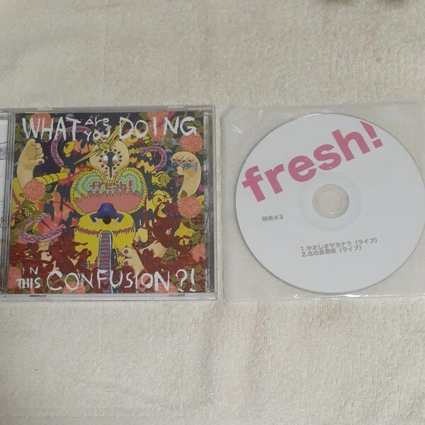 fresh! /What Are You Doing In This Confusion　特典downy スパルタローカルス　