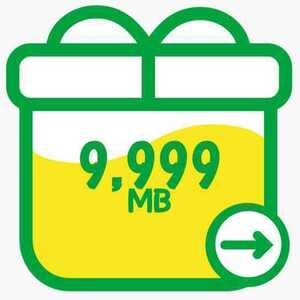 マイネオmineoパケットギフト10GB(9999MB)