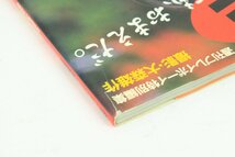 MIE ○ 写真集 2冊セット [SILENCE SCENE][どうしても、おまえだ。] デラックス映画ファン/週刊プレイボーイ特別編集 〇 #6066_画像6