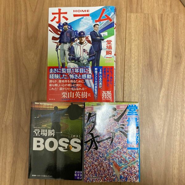 ホーム BOSS ターンオーバー　堂場瞬一　野球シリーズ　3巻セット