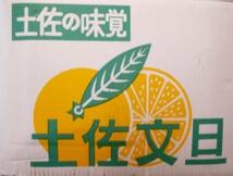 【高知県産】高知ブランド　土佐文旦　　秀5Lサイズ　　約10ｋｇ ～贈答用～_画像4