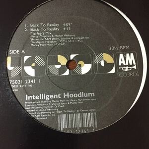 12 Intelligent Hoodlum/Back To Reality