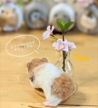 　**TAMA**　ゴールデンハムスター　羊毛フェルト　ハンドメイド 　miniature　animal_画像7